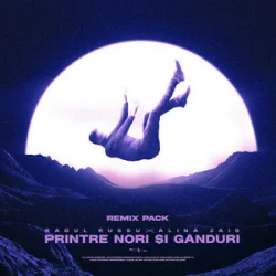 Мұқаба Raoul Russu & Alina Jais - Printre nori si ganduri (Jayraa Remix)