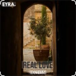 Мұқаба DNDM - Real Love