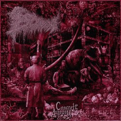 Мұқаба escam - Cranial Cement Injection