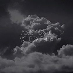 Мұқаба VOLB3X - Skyfall