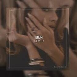 Мұқаба DNDM - Never