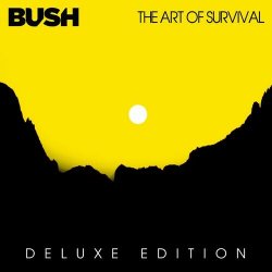 Мұқаба Bush - More Than Machines