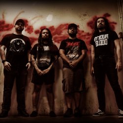 Мұқаба Necrodios - Violent Ending