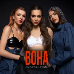 Мұқаба Mirami - Вона (Gvozdini Remix)