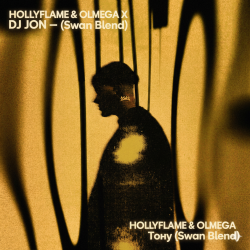 Мұқаба HOLLYFLAME & OLMEGA X DJ JON - Тону (Swan Blend)
