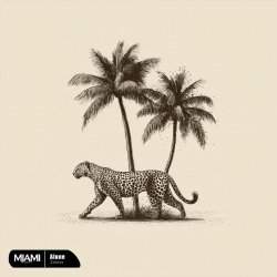 Мұқаба Zmeex - Shadow (Ozzem Remix)