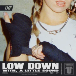 Мұқаба Rova & A Little Sound - Low Down