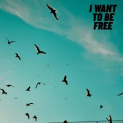 Мұқаба Roberto Pedoto - I Want To Be Free