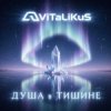 Мұқаба ViTaLiKuS - Душа в тишине ViTaLiKuS - Душа в тишине