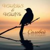 Мұқаба ViTaLiKuS - Соловей (Remix) ViTaLiKuS - Соловей (Remix)