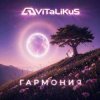 Мұқаба ViTaLiKuS - Гармония ViTaLiKuS - Гармония