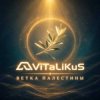 Мұқаба ViTaLiKuS - Ветка Палестины ViTaLiKuS - Ветка Палестины