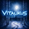 Мұқаба ViTaLiKuS - Первый снег ViTaLiKuS - Первый снег