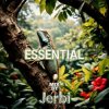 Мұқаба Jerbi - Fav Tracks Mix: ESSENTIAL || Uplifting Trance Mix Jerbi - Fav Tracks Mix: ESSENTIAL || Uplifting Trance Mix