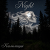 Мұқаба Калымщик - Night Калымщик - Night
