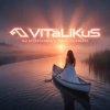 Мұқаба ViTaLiKuS - Мы встречались с тобой на закате ViTaLiKuS - Мы встречались с тобой на закате