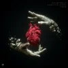 封面 Ashley Sienna & YMIR - HEARTBEAT Ashley Sienna & YMIR - HEARTBEAT