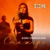 Мұқаба Alena Omargalieva & Дім Звукозапису - Стожари Alena Omargalieva & Дім Звукозапису - Стожари