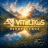 Мұқаба ViTaLiKuS - Невыразимое ViTaLiKuS - Невыразимое