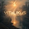 Мұқаба ViTaLiKuS - Безглагольность ViTaLiKuS - Безглагольность