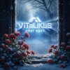 Мұқаба ViTaLiKuS - Снег идёт ViTaLiKuS - Снег идёт