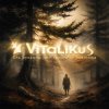 Мұқаба ViTaLiKuS - Ель рукавом мне тропинку завесила… ViTaLiKuS - Ель рукавом мне тропинку завесила…