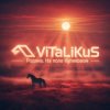 Мұқаба ViTaLiKuS - Родина. На поле Куликовом ViTaLiKuS - Родина. На поле Куликовом