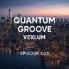 Мұқаба Vexlum - Quantum Groove 025 Vexlum - Quantum Groove 025