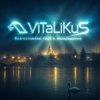 Мұқаба ViTaLiKuS - Благословляю твоё я возвращение ViTaLiKuS - Благословляю твоё я возвращение