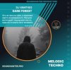 Мұқаба DJ VANTIGO - Dark Forest DJ VANTIGO - Dark Forest