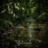 Мұқаба Anna Svet - Черёмуха Anna Svet - Черёмуха