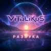 Мұқаба ViTaLiKuS - Разлука (Radio Remix) ViTaLiKuS - Разлука (Radio Remix)