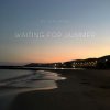 Мұқаба DJ Calypso - Waiting for Summer 2026 DJ Calypso - Waiting for Summer 2026