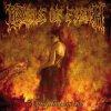 Мұқаба Cradle Of Filth - Gilded Cunt Cradle Of Filth - Gilded Cunt