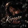 Мұқаба R3phase - Кароока Моя R3phase - Кароока Моя