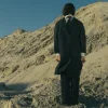 Мұқаба Паліндром - Сенс Паліндром - Сенс