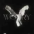 Portada LONOWN & riserayss - worry (Slowed)