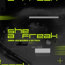 Мұқаба Armin van Buuren & Skytech - She A Freak