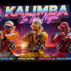Мұқаба Kalimba in the night - Euro disco summer vibes