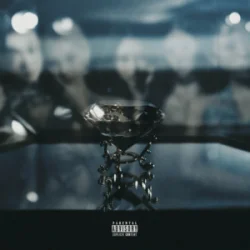 Мұқаба VVS - DA$H