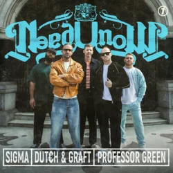 Мұқаба Sigma & Dutch & Graft & Professor Green - NEED U NOW