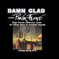 Мұқаба DAMN GLAD - Pigs