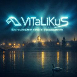 Мұқаба ViTaLiKuS - Благословляю твоё я возвращение
