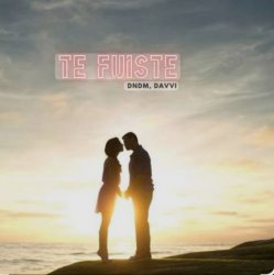 Мұқаба DNDM & Davvi - Te Fuiste
