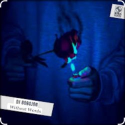 Мұқаба Dj Bobojon - Without Words