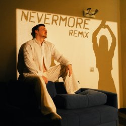 Мұқаба der Flaum - nevermore (remix)