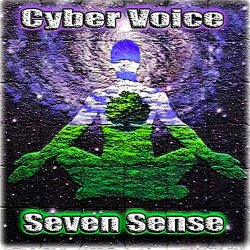 Мұқаба Seven Sense (Mix)
