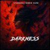 Portada STXRSHOV & Daria Kupr - Darkness STXRSHOV & Daria Kupr - Darkness