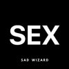 Мұқаба Sad Wizard - SEX Sad Wizard - SEX