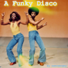 Мұқаба zaevsergey - A Funky Disco zaevsergey - A Funky Disco